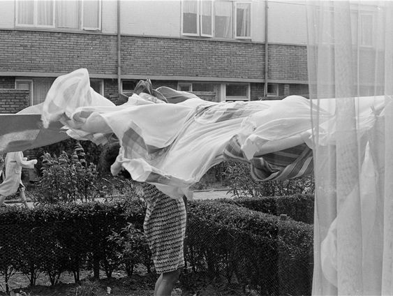 'Vogels als huisgenoten' van Len Howard