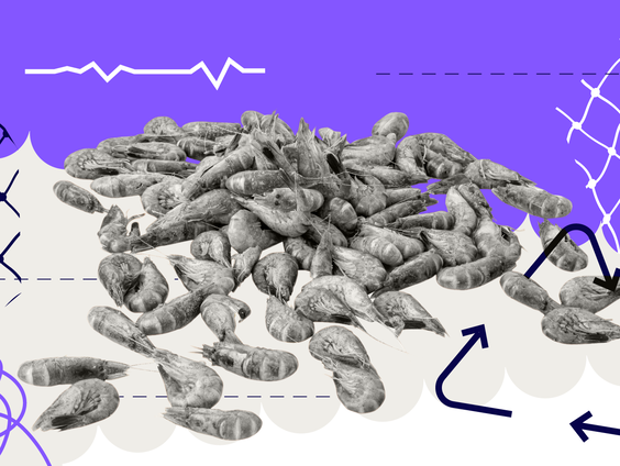 Waddenvereniging: overbevissing aanpakken