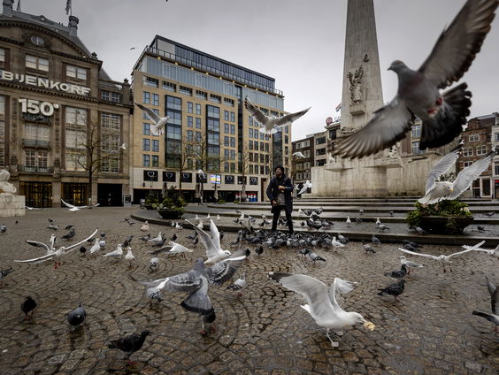 Vogels passen zich aan aan klimaatverandering