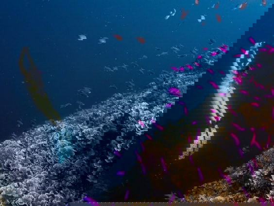 Bijzondere records in het buitenland