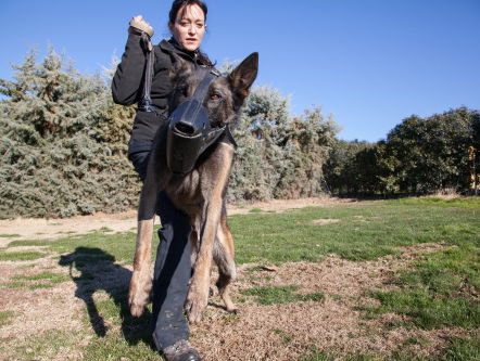 Spaanse remedie tegen agressieve ex