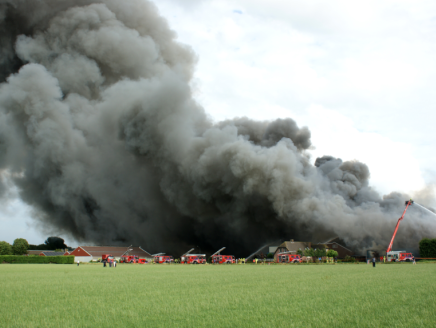 Stand.nl: We moeten af van de megastallen