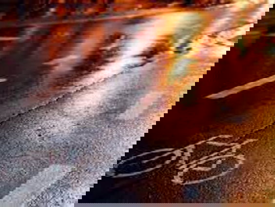 Wéér een doorrijder na een verkeersongeluk: waarom blijft dit gebeuren?