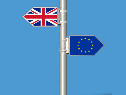 Nieuwe Britse partij wil Brexit stoppen