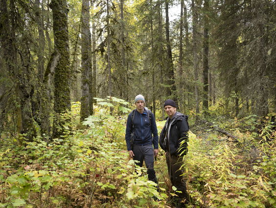 Door de bomen het bos zien