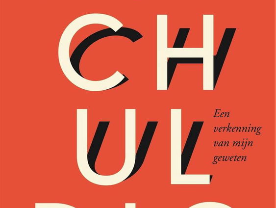 Schuldig, Een verkenning van mijn geweten