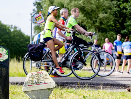 Gele 'paddenstoelen' ANWB te koop op Marktplaats