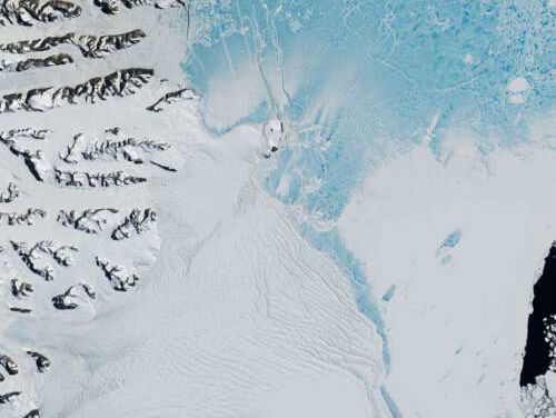 Het zeeleven onder ijsplaat Larsen C