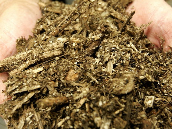 SER: subsidies voor biomassa als energiebron zo snel mogelijk afbouwen