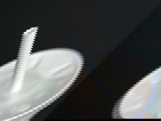 Frietbakjes en wegwerpbekertjes maken bacteriën resistent tegen antibiotica