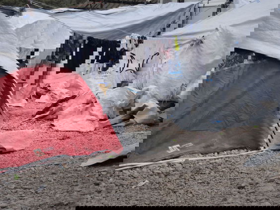 Nederlander aangeklaagd in Griekenland omdat hij vluchtelingen hielp