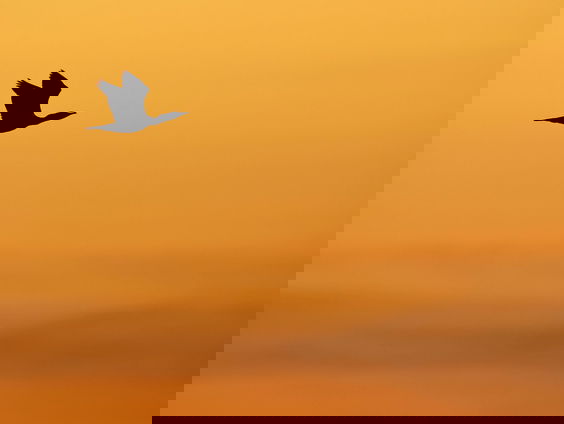 Er komt geen psychiatrische 4e golf