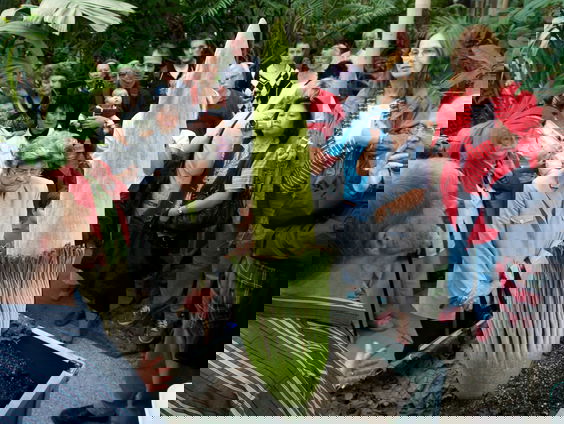 Penisplant gaat weer bloeien