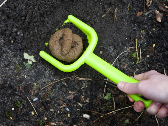 Groen gas uit poep