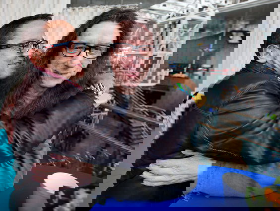 Herman Brusselmans is driftig: 'Als ik als ik aan het schrijven ben, komt de drift naar boven'