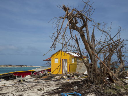 Viert Sint Maarten eigenlijk Sint Maarten?
