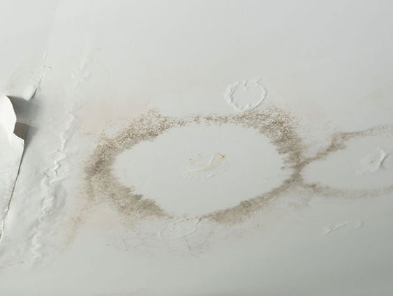 Na regen komt lekkage: ‘We zijn ten einde raad, na vijf jaar overstroomt de kelder nog steeds’