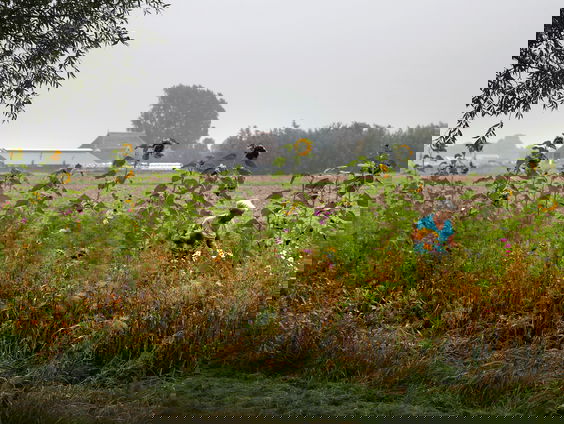 Raken boeren - al dan niet gedwongen - hun landerijen kwijt?