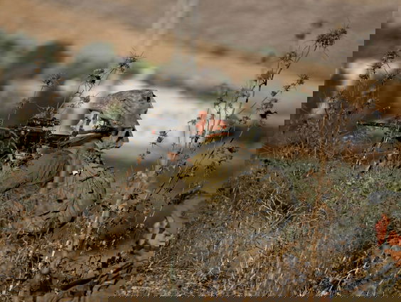 'VS dringt bij Israël aan op afronden militaire operatie tegen Hamas'