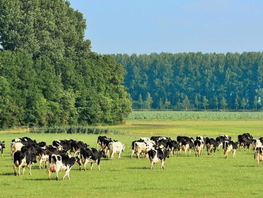 Toekomst van landbouw, natuur en visserij