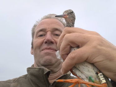 Slotstuk: Wel en wee van de tureluurs