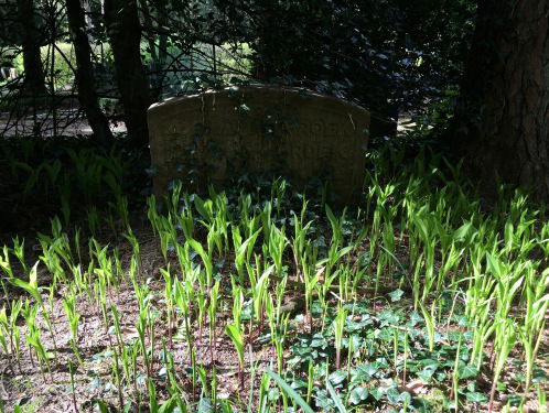 Reportage: In Memoriam ' Ik heb haar één keer horen lachen maar die was heel ingehouden'