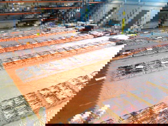 Nederland Narcostaat 2.0