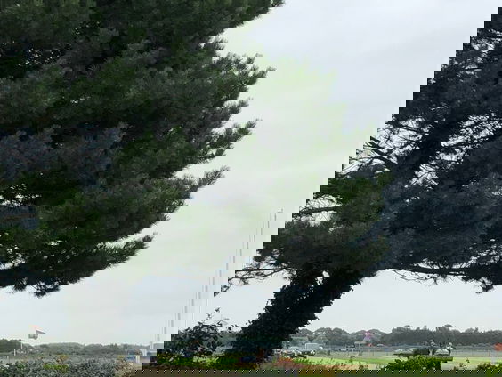 Verhalen van Spraakmakers: hoe ga je om met het afhandelen van nalatenschap? - deel 5