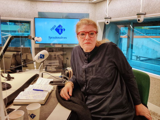 Hedwig Fijen over het cultuurfestival Manifesta