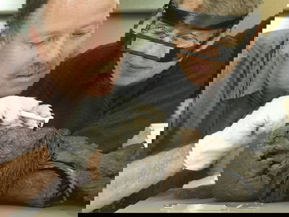 Mai bij het meisje van Yde