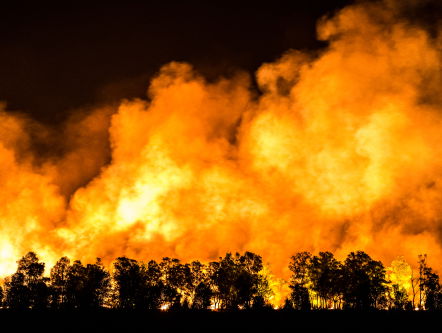 Natuurbrand Herkenbosch nog niet onder controle