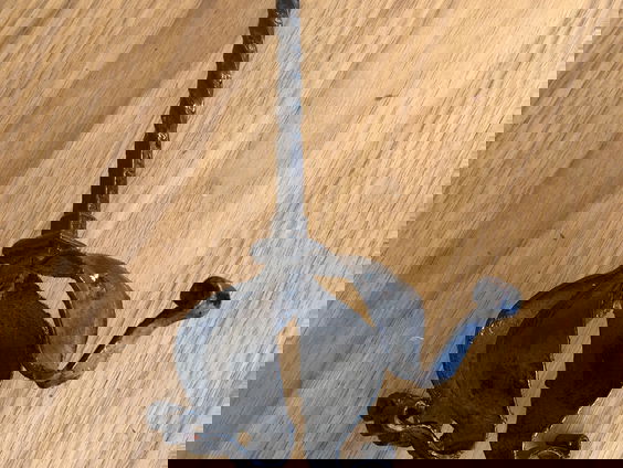 Gestolen ornament na 20 jaar terug bij Rijksuniversiteit groningen