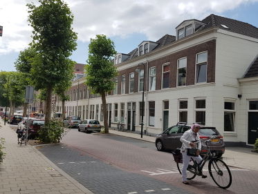 De Goudse bodemtwist