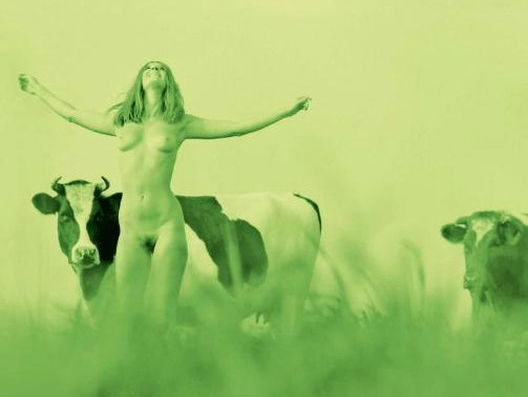 Boekenrubriek met Jeroen Vullings