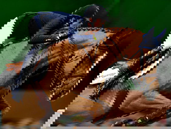 Feit of Fictie: Met hoeveel gewicht mag je op een paard rijden?