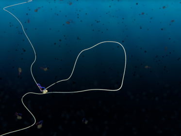 Hoe wordt nieuw dna in een cel opgevouwen? TU Delft lost een oud biologisch vraagstuk op