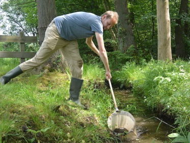 Eendagsvliegen gezocht
