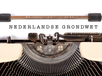 'Dit is niet hoe de grondwetgever het bedoeld heeft'
