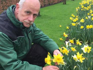 Wakker worden met een tuinier van de Keukenhof