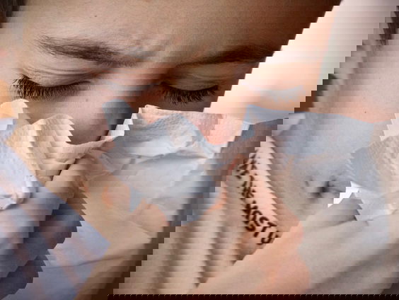 Code paars voor pollen in Nederland: de feiten en fabels