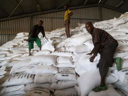Elf miljoen mensen in Oost-Afrika dreigen te overlijden aan honger