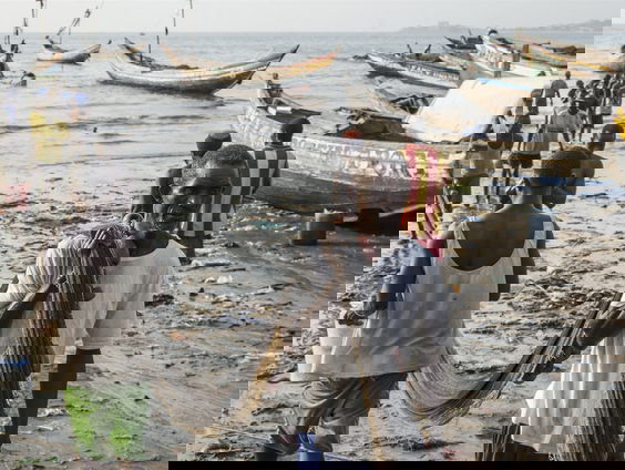 Catastrofe of kans? Grote zorgen over de bouw van een haven bij Black Johnson Beach