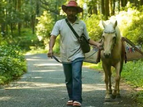 Paardenbibliotheek in Indonesië