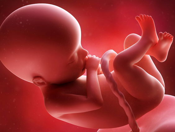 Gaan! Abortus moet meer bespreekbaar worden gemaakt