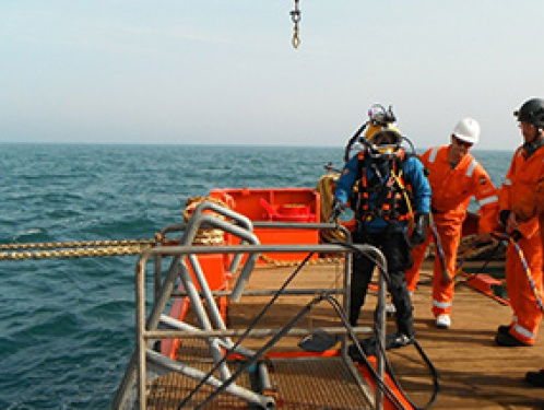 Platforms voor biodiversiteit