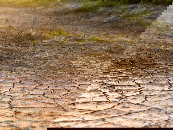 Deltacommissaris Peter Glas: 'Onbeperkt watergebruik niet meer vanzelfsprekend'