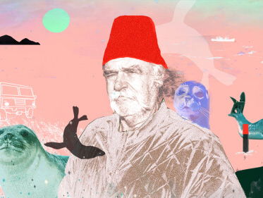 Sterk water - Afl. 5: De illegale zeehond