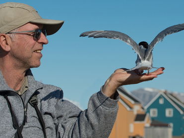 Het dwarse vogelboek