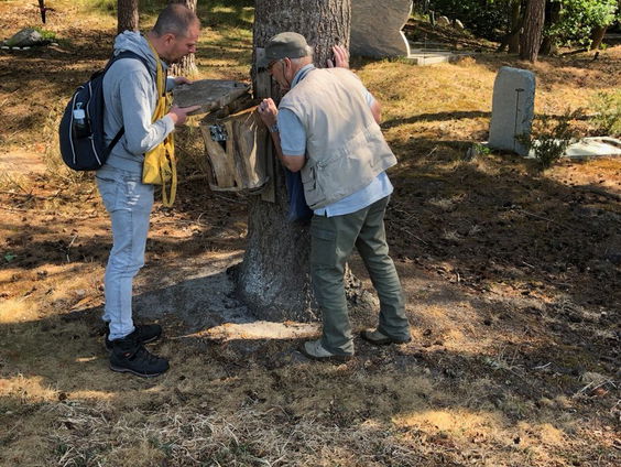 Natuurgebied / Begraafplaats Rusthof