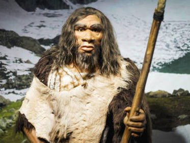 Neanderthalers leerden van de moderne mens